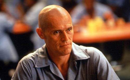 Animal Factory Streaming Vf Photo de Steve Buscemi - Animal Factory : Photo Steve Buscemi, Willem