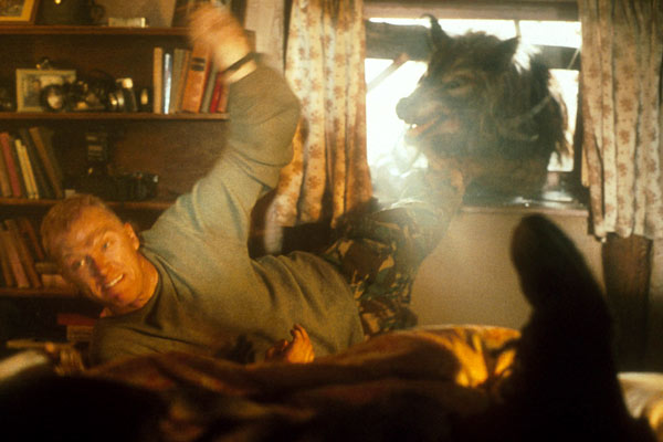 Dog Soldiers : Photo