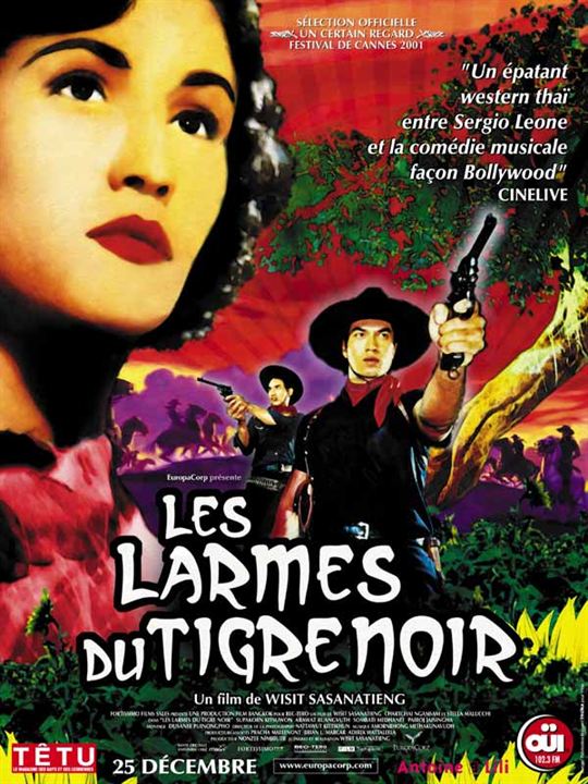 Les Larmes du Tigre Noir : Affiche