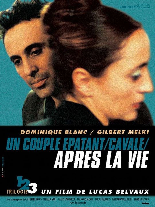 Après la vie : Affiche