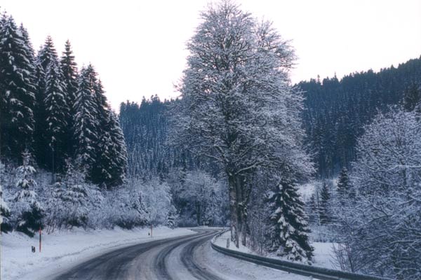 Mon voyage d'hiver : Photo Vincent Dieutre