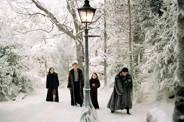 Le Monde de Narnia : Chapitre 1 - Le lion, la sorcière blanche et l'armoire magique : Photo Andrew Adamson