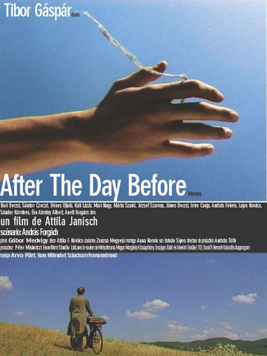 After the day before : Affiche Atilla Janish