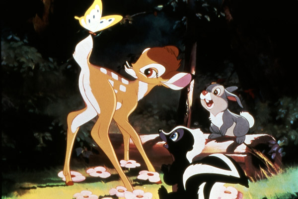 Bambi : Photo