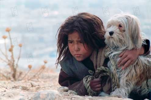 Chiens égarés : Photo Marzieh Meshkini