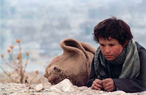 Chiens égarés : Photo Marzieh Meshkini