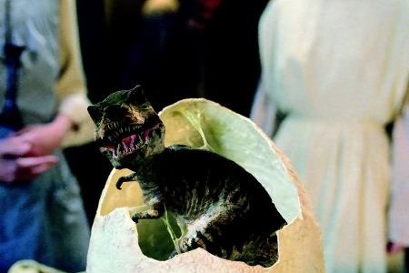 Dinotopia : Photo