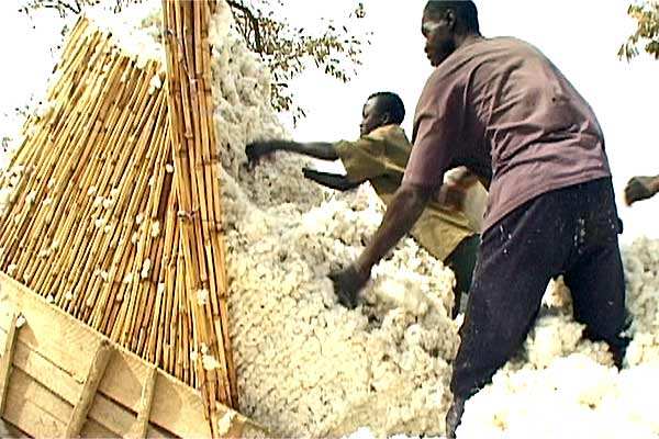 Djourou une corde à ton cou : Photo Olivier Zuchuat