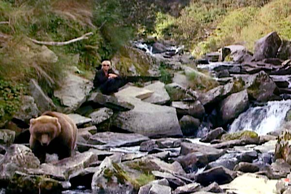 Grizzly Man : Photo