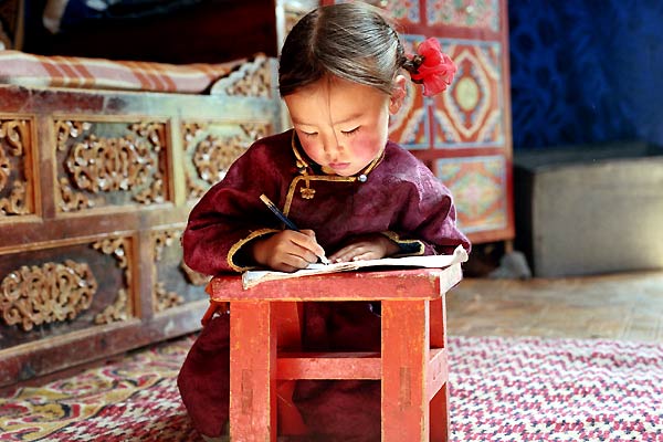 Le chien jaune de Mongolie : Photo Byambasuren Davaa