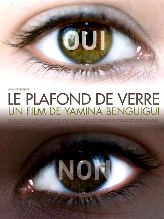 Le Plafond de verre, les défricheurs : Affiche Yamina Benguigui