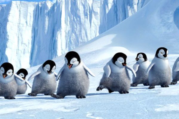 Happy Feet : Photo