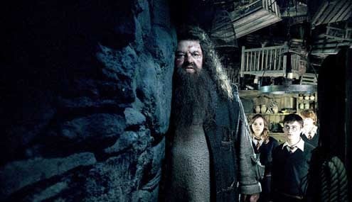 Harry Potter et l'Ordre du Phénix : Photo David Yates, Daniel Radcliffe, Emma Watson, Rupert Grint