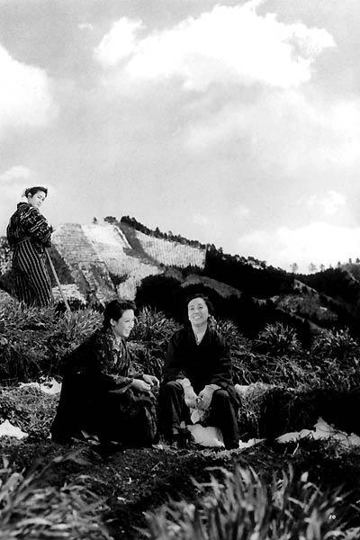 Nuages d'été : Photo Mikio Naruse