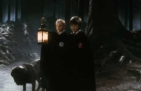 Harry Potter à l'école des sorciers : Photo Daniel Radcliffe, Chris Columbus, Tom Felton
