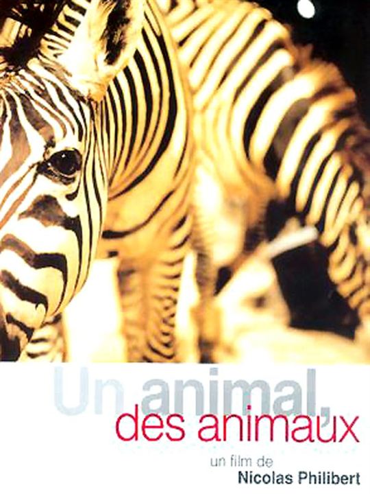 Un animal, des animaux : Affiche Nicolas Philibert