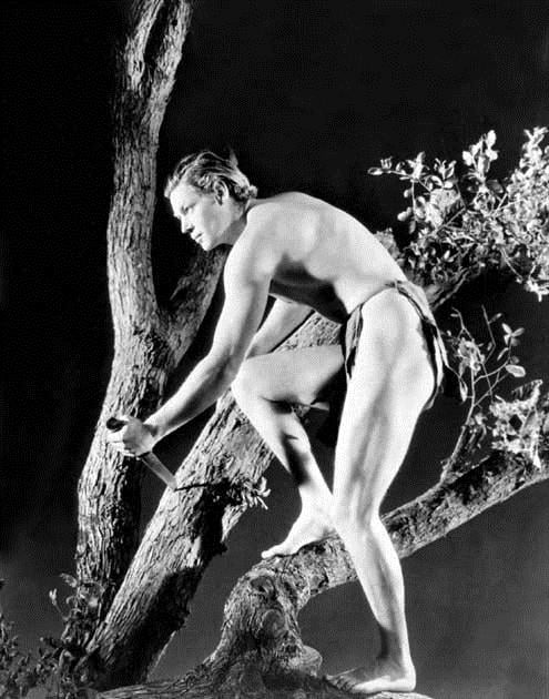 Tarzan, l'homme singe : Photo Johnny Weissmuller, W.S. Van Dyke