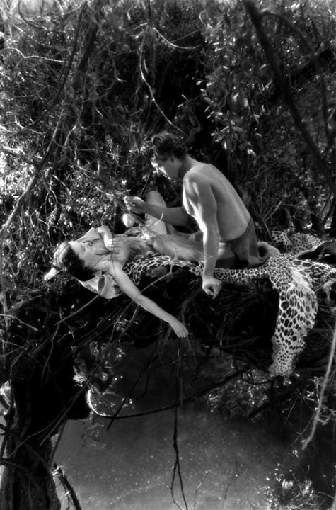 Tarzan, l'homme singe : Photo