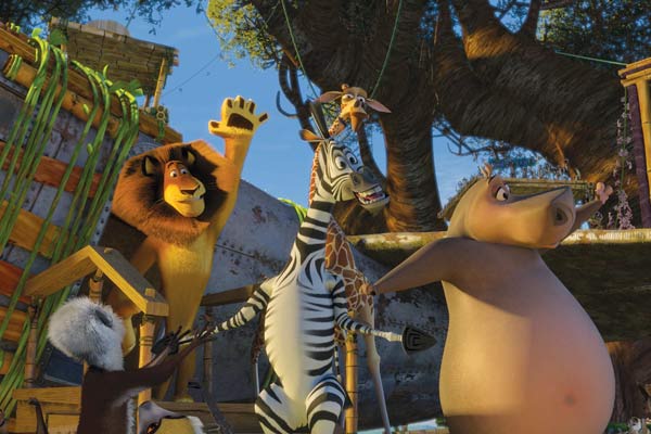 Madagascar 2 : Photo
