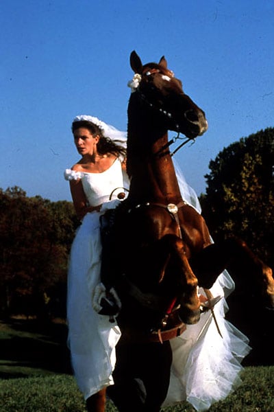 Just married (ou presque) : Photo Julia Roberts