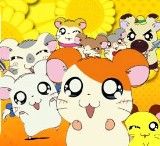Hamtaro - Petits Hamsters, Grandes Aventures : Affiche