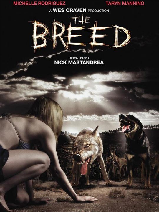 The Breed : Affiche Nicholas Mastandrea