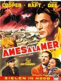 Ames à la mer : Affiche