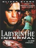 Labyrinthe infernal : Affiche