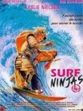 Surf Ninjas : Affiche