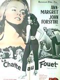 La Chatte au fouet : Affiche