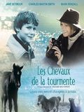 Touching Wild Horses : Affiche