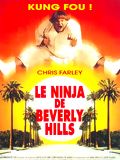 Le Ninja de Beverly Hills : Affiche
