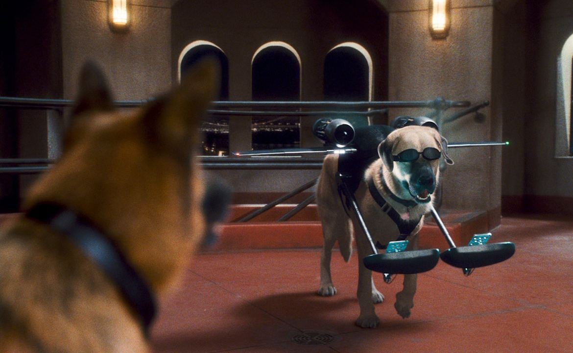 Comme chiens et chats - La Revanche de Kitty Galore : Photo Kevin Lima, Brad Peyton