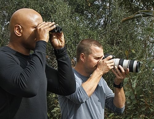 NCIS : Los Angeles : Photo Chris O'Donnell, LL Cool J