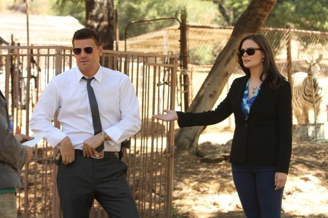 Bones : Photo Emily Deschanel, David Boreanaz