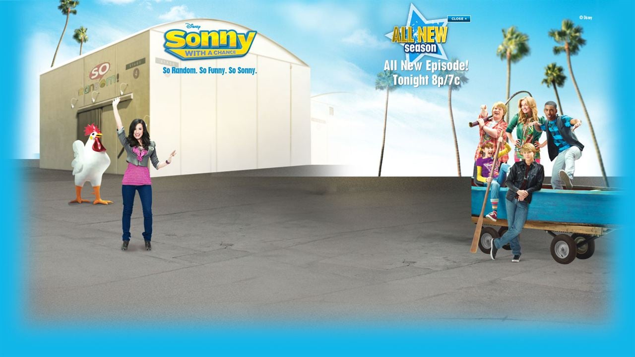 Sonny : Photo