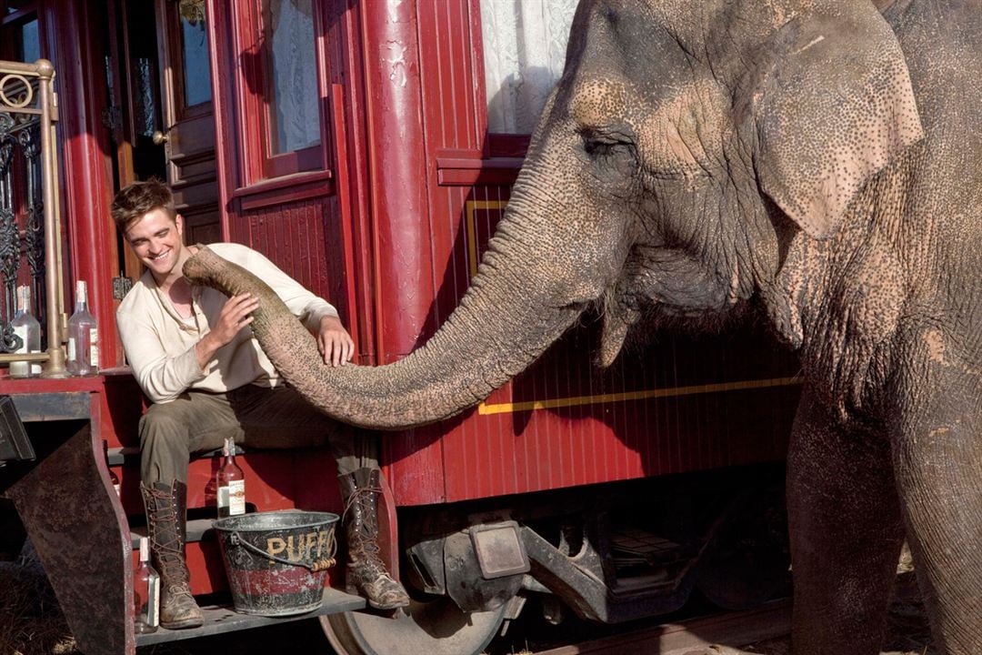 De l'eau pour les éléphants : Photo Robert Pattinson