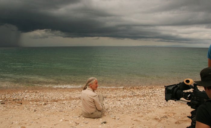 Jane Goodall : retour à Gombe : Photo