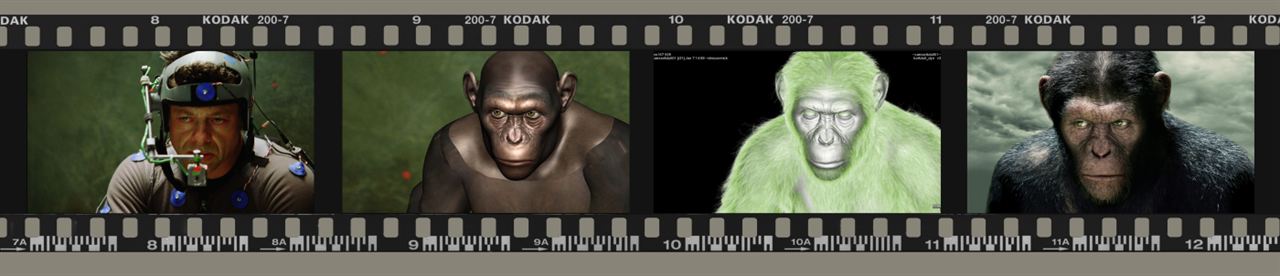 La Planète des singes : les origines : Photo