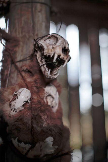Grimm : Photo