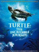 Turtle: The Incredible Journey : Affiche