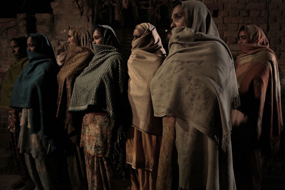 Alms of the Blind Horse : Photo