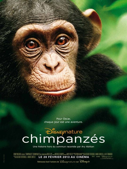 Chimpanzés : Affiche