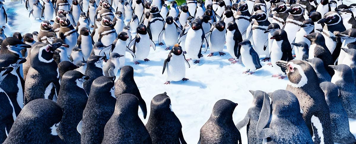 Happy Feet 2 : Photo