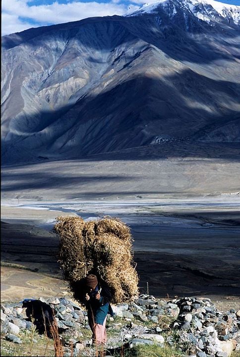 Himalaya, terre des femmes : Photo