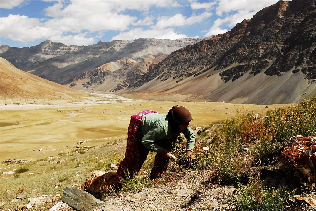 Himalaya, terre des femmes : Photo