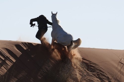 Tornado and the Kalahari Horse Whisperer : Photo