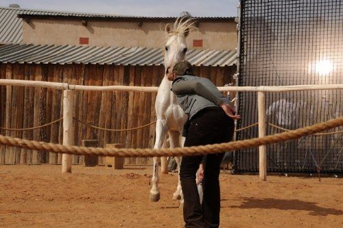 Tornado and the Kalahari Horse Whisperer : Photo