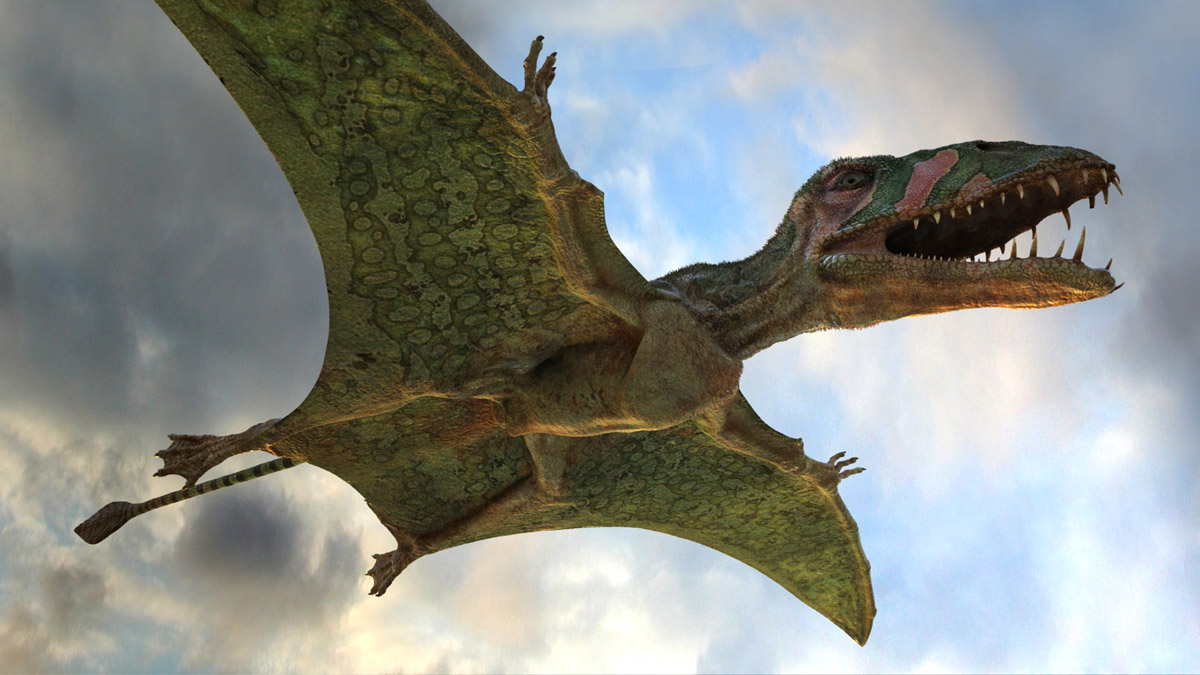 Ptérodactyles 3D : Dans le ciel des dinosaures : Photo
