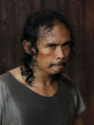 Affiche Yayan Ruhian